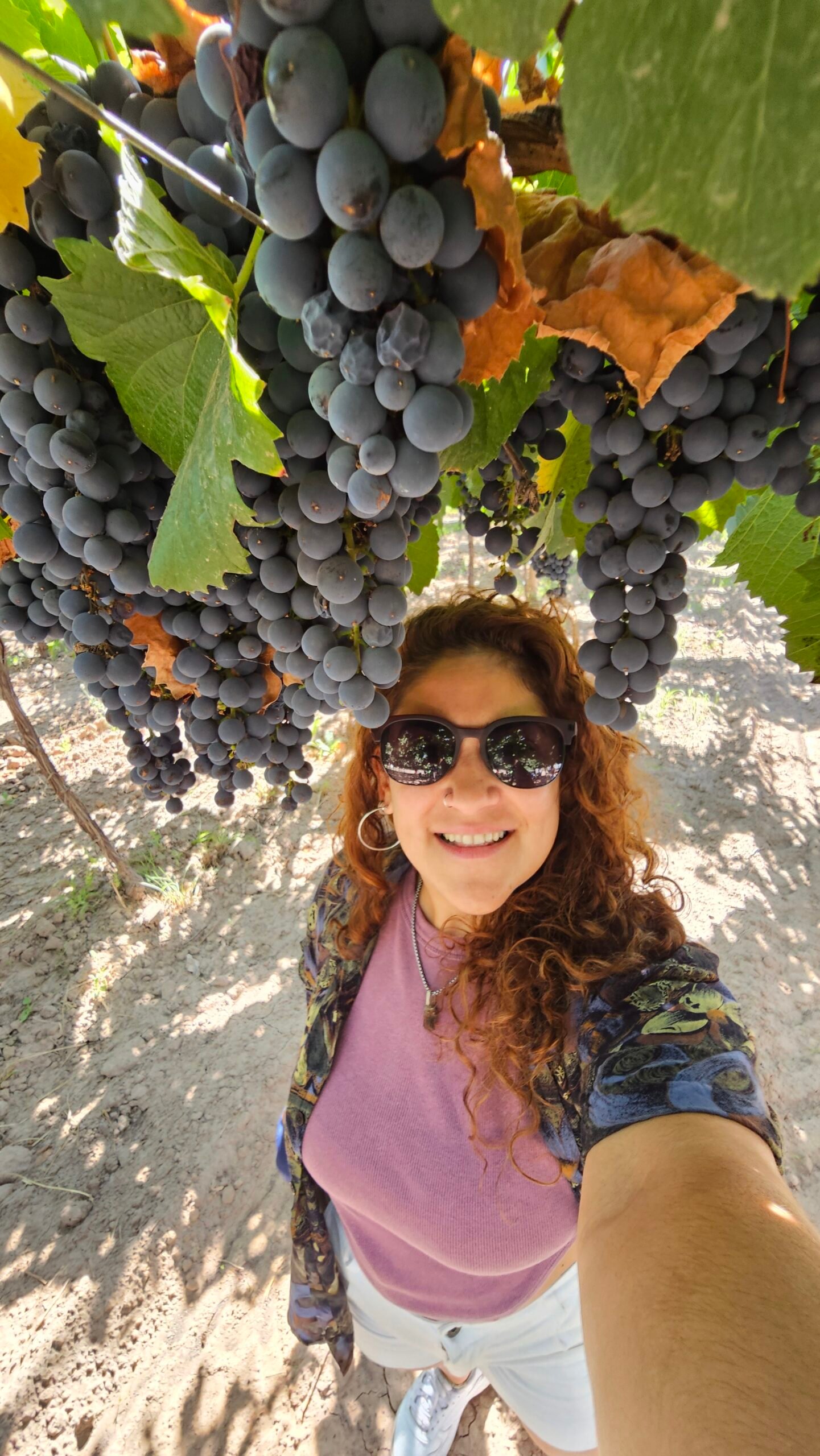 Qué hacer en Mendoza: experiencias únicas entre vino, ciudad y relax